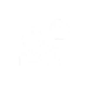 Local Knowledge with High-End Standards - The Install Company